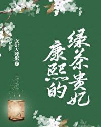 康熙的绿茶贵妃小说封面