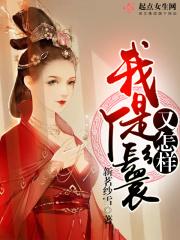 电视连续剧我的丫鬟是总监